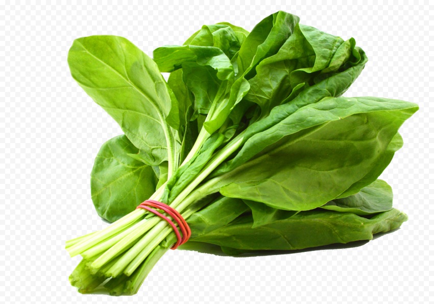 spinach leaf hd