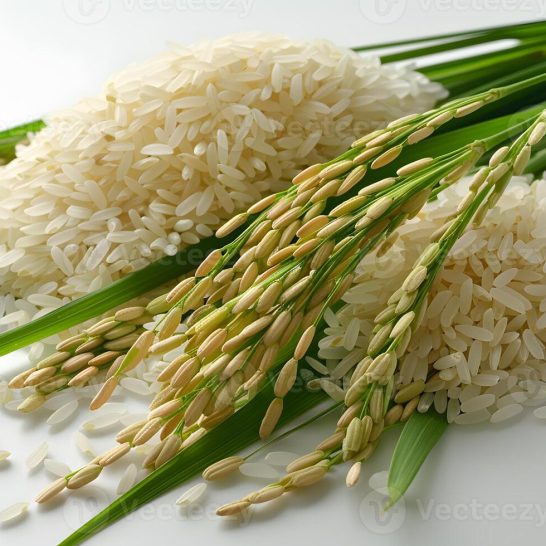 raw-and-harvested-rice-grains-with-fresh-green-stalks-ideal-for-food-agriculture-and-culinary-concepts-photo